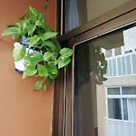 Apartment Babelia Las Palmas de Gran Canaria