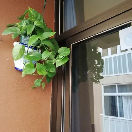 Apartamento Babelia Las Palmas de Gran Canárias