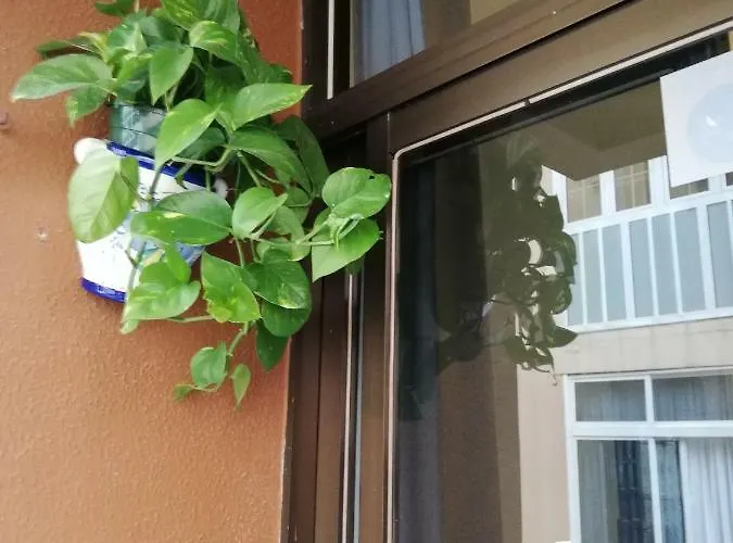 Lejlighed Babelia Las Palmas de Gran Canaria